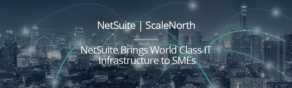 scalenorth netsuite consulting for small business