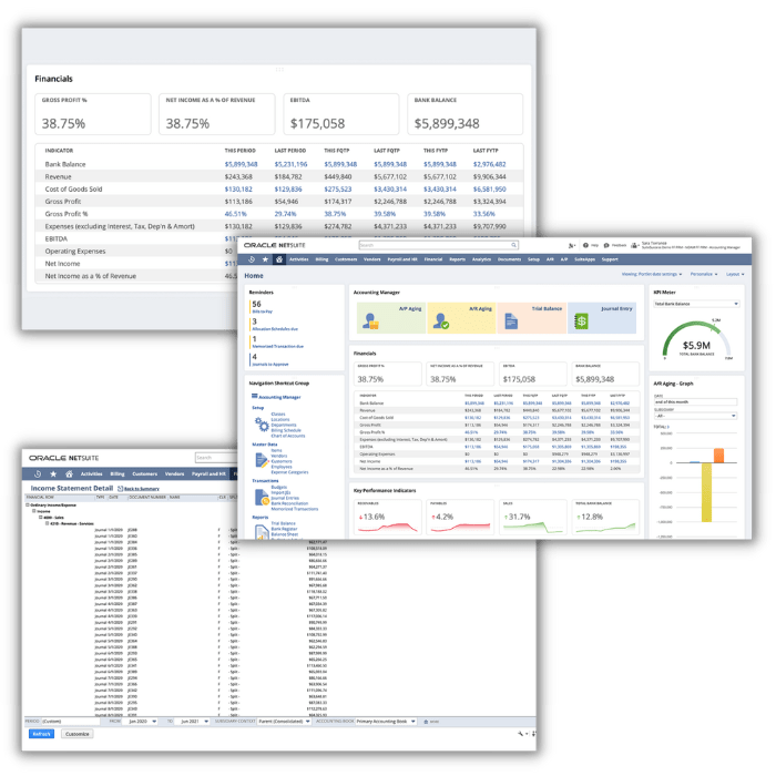 NetSuite Analytics and Reporting features