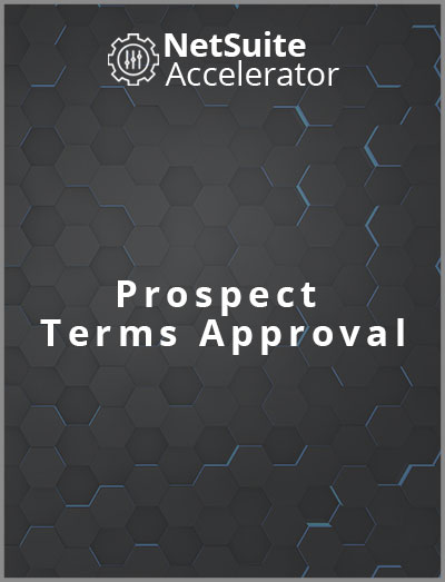 netsuite erp project terms and approvals features