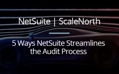 Don’t Sweat the Auditors! 5 Ways NetSuite Streamlines the Audit Process